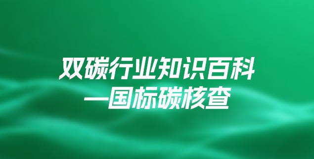 双碳行业知识百科—国标碳核查